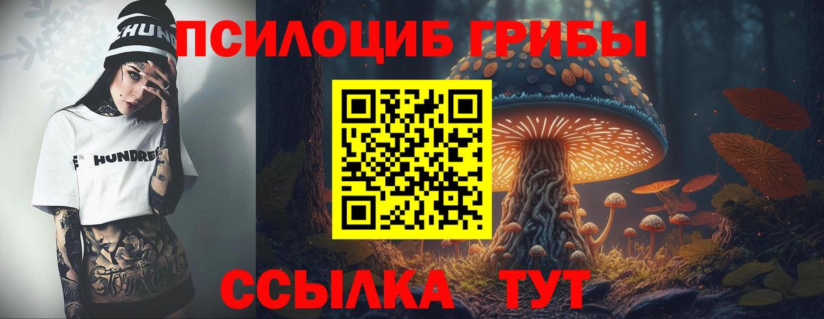 Галлюциногенные грибы Cubensis Горячий Ключ